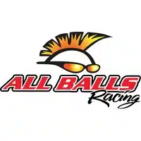 All Balls Benzinfilter kit für KTM für Husqvarna GasGas - Motocross Shop  Mister-MX